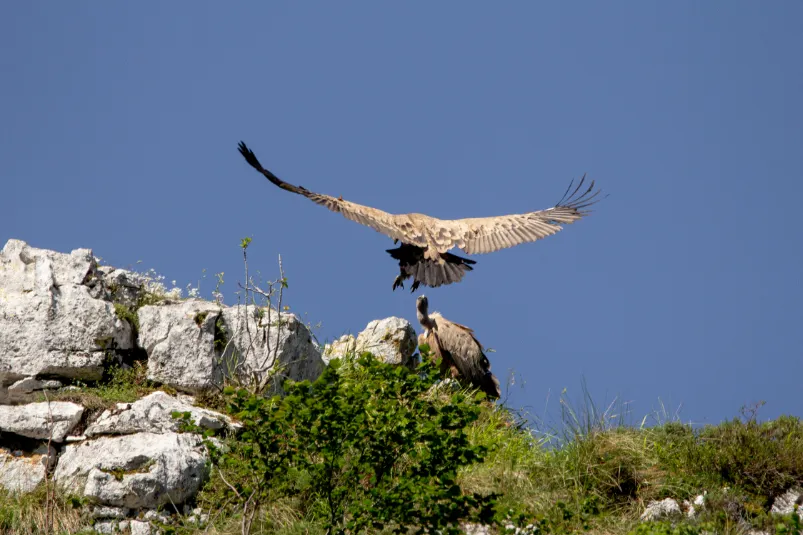 Spanje Picos de Europa