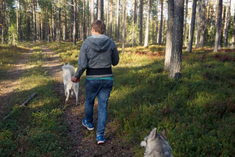 Excursies Zweden wandelen husky honden