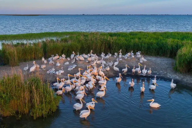 Vakantie Roemenië Delta