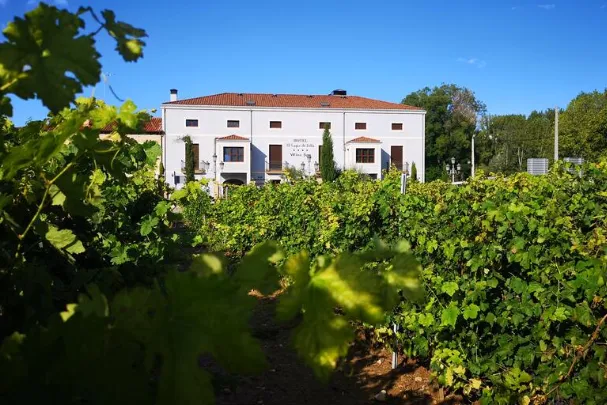 Duero vallei wijnhotel Spanje