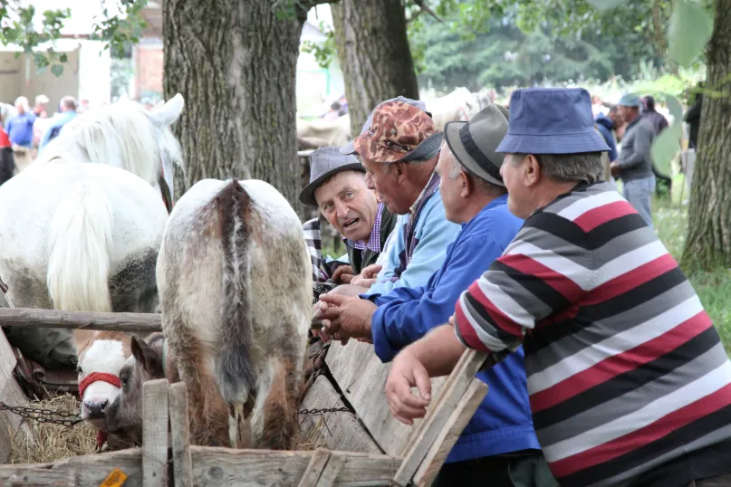 Roemenië reizen Maramures