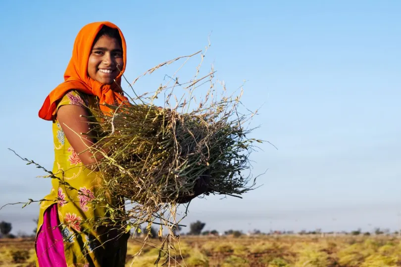 India Rajasthan locals