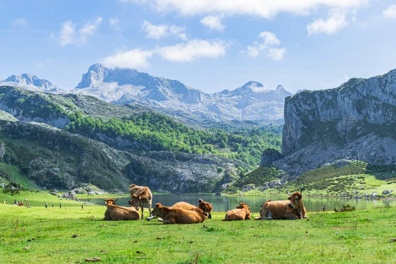 Spanje Picos de Europa Asturias