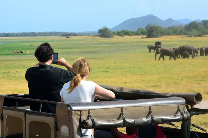 Sri Lanka reizen safari