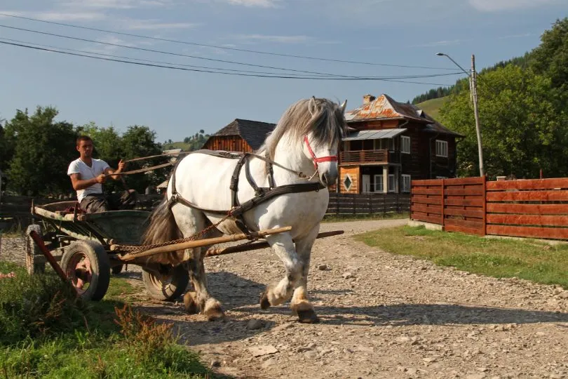 Actieve Roemenië reis Bucovina