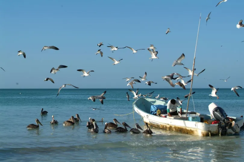 Mexico Isla Holbox