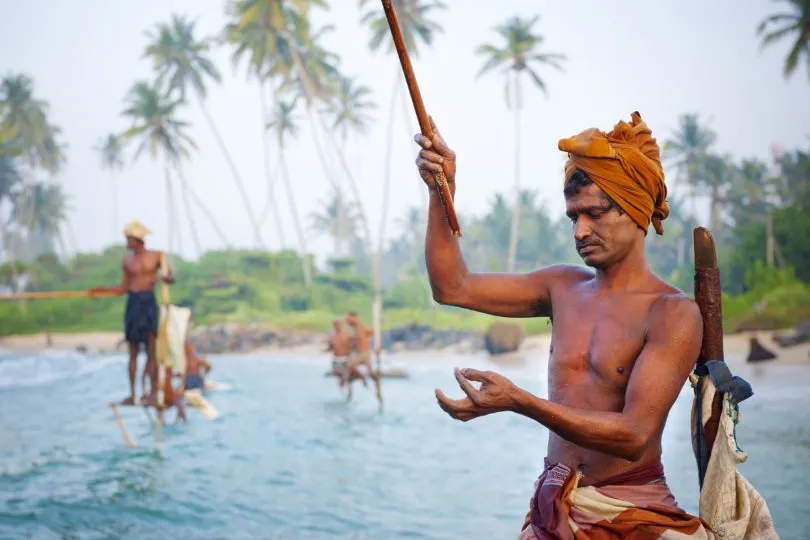 Sri Lanka visser
