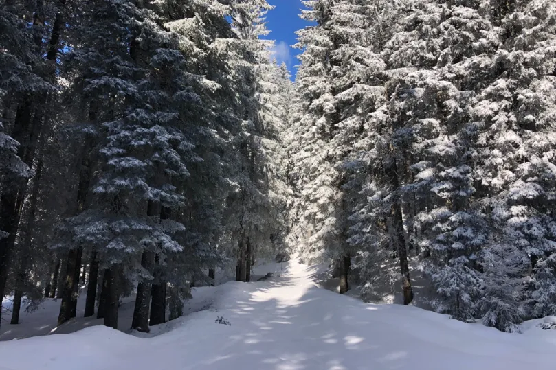 Winter in Slovenie