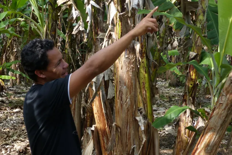Nicaragua reisgids Daniel cacaobonen