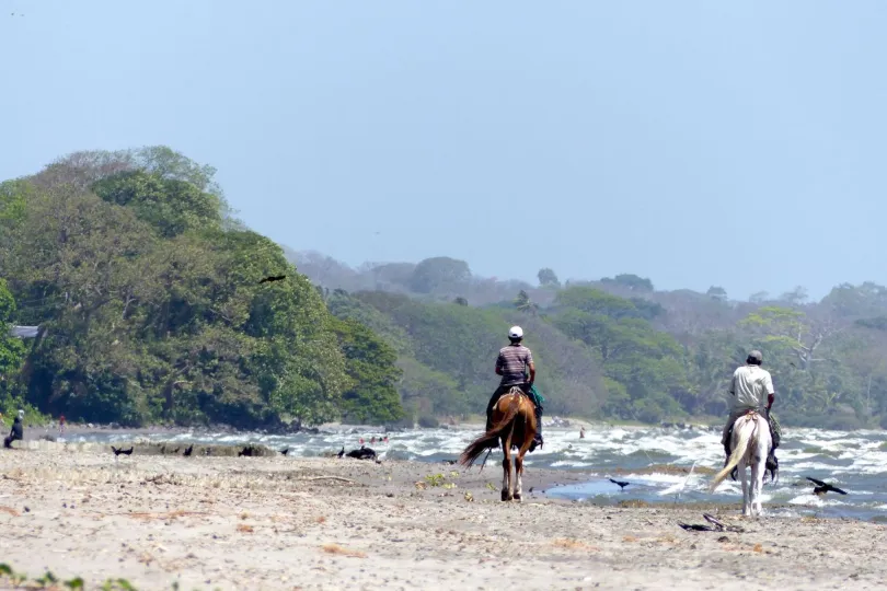 Nicaragua vakantie Ometepe paardrijden