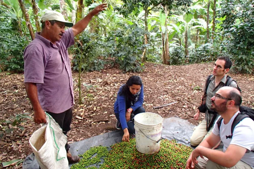 Excursies Nicaragua koffie plukken