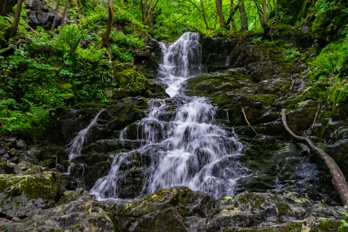 Boyana waterval Sofia