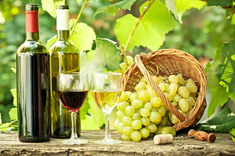 wijnreis Bulgarije