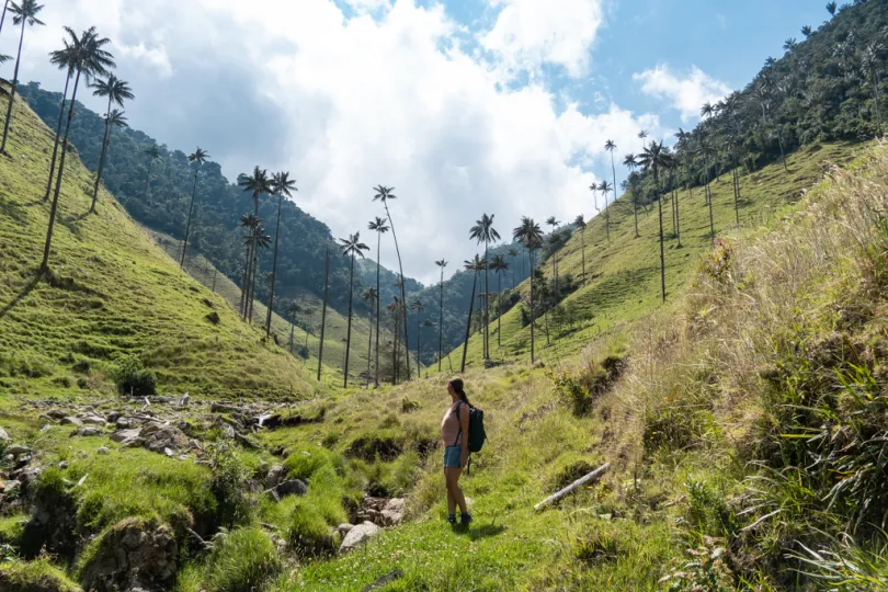 landschap in omgeving van Salamina, Colombia