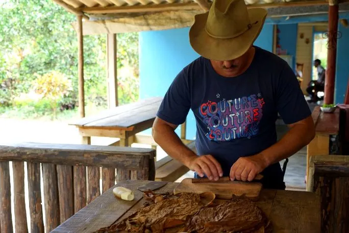 Cuba Vinales tabaksboerderij