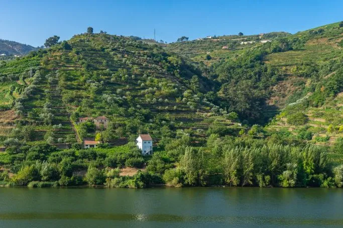 Portugal Douro vallei