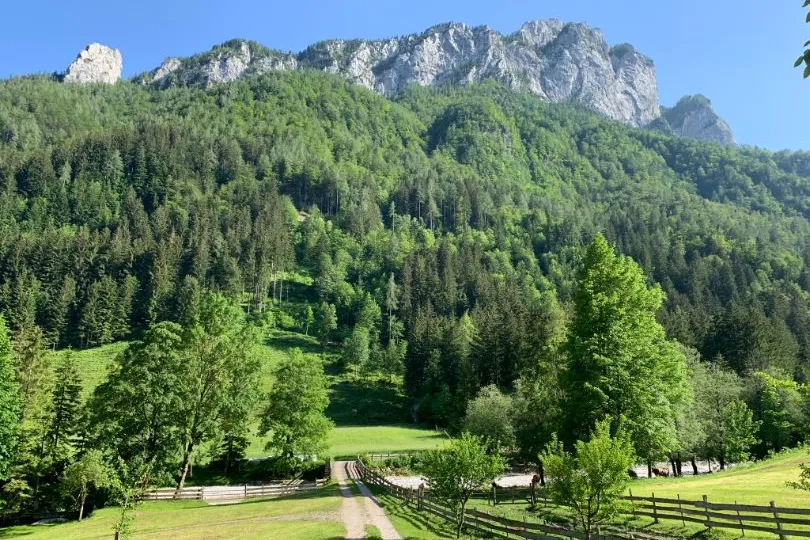 Alpen Slovenië 