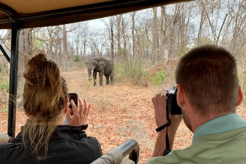 Olifant tijdens een safari Malawi