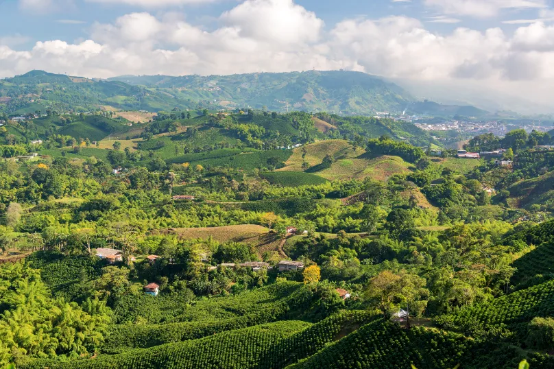 Colombia Manizales koffieregio