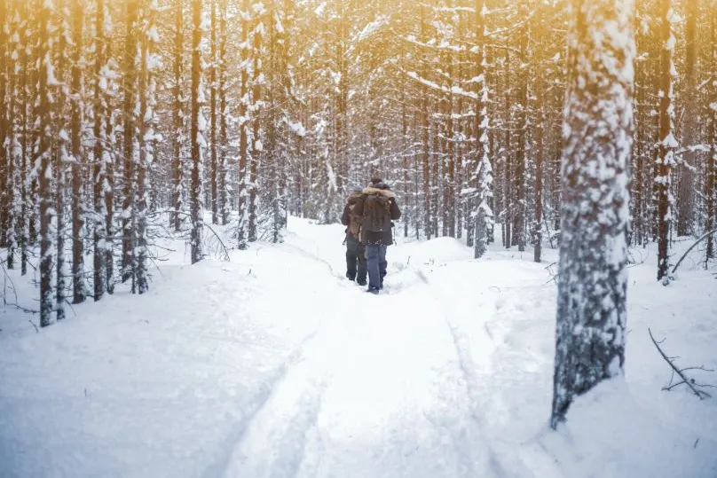 Personen wandelen door besneeuwd bos Finland