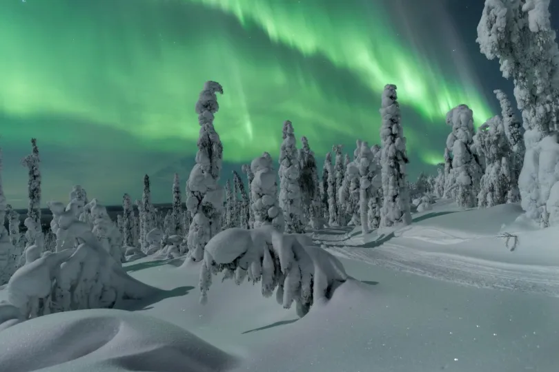 Fins Lapland Northern lights
