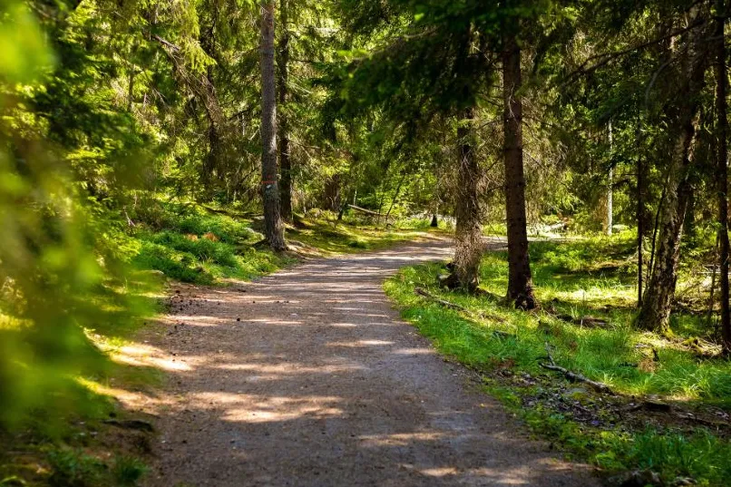 Zweden wandelen Tyresta