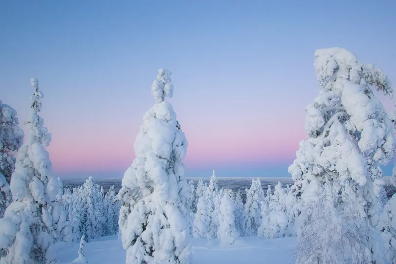Fins winter wonderland