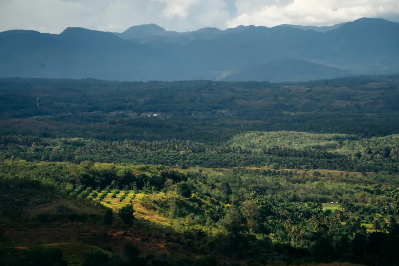 Sumatra natuurpark