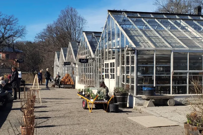 vegetarisch eten in Zweden