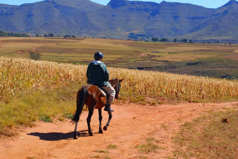 Zuid-Afrika Lesotho paardrijden