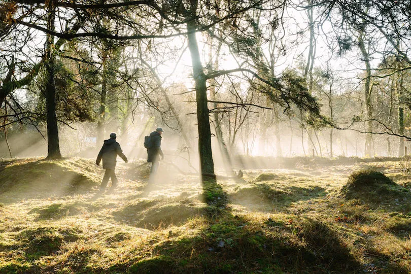 Trektocht Drenthe wandelen