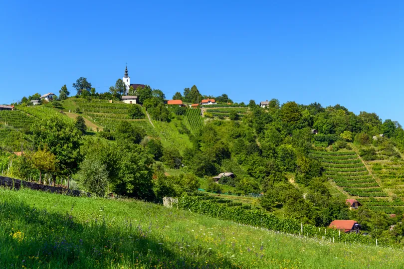 Slovenië Dolenjska regio