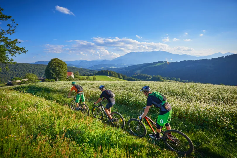Slovenië fietsen Koroska