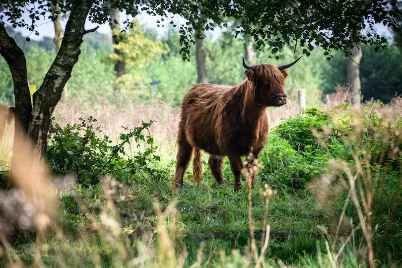 Hoge Kempen - Avontuur Dichtbij