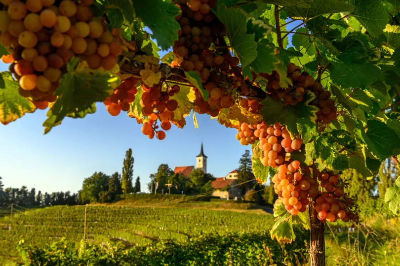 Regio Pomurje Slovenië