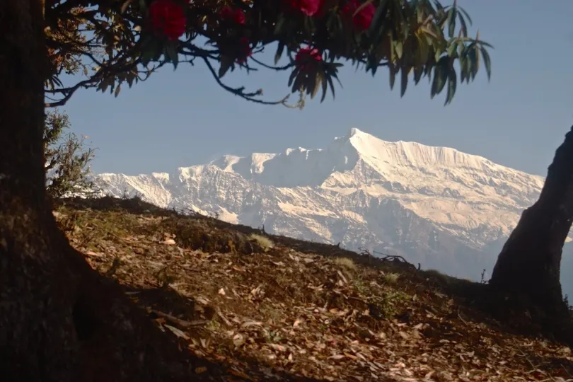 Uitzicht op Himalaya