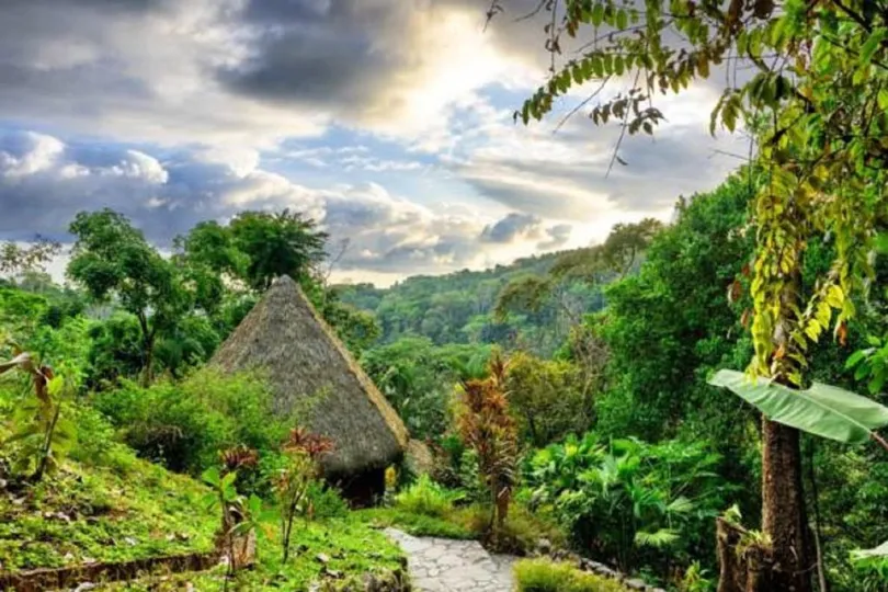 Lodge regenwoud Costa Rica
