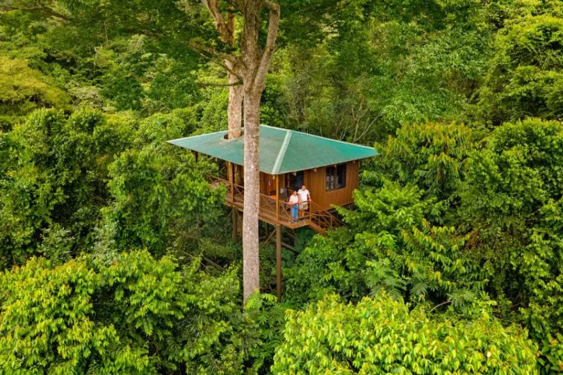 Lodge boomhut Costa Rica
