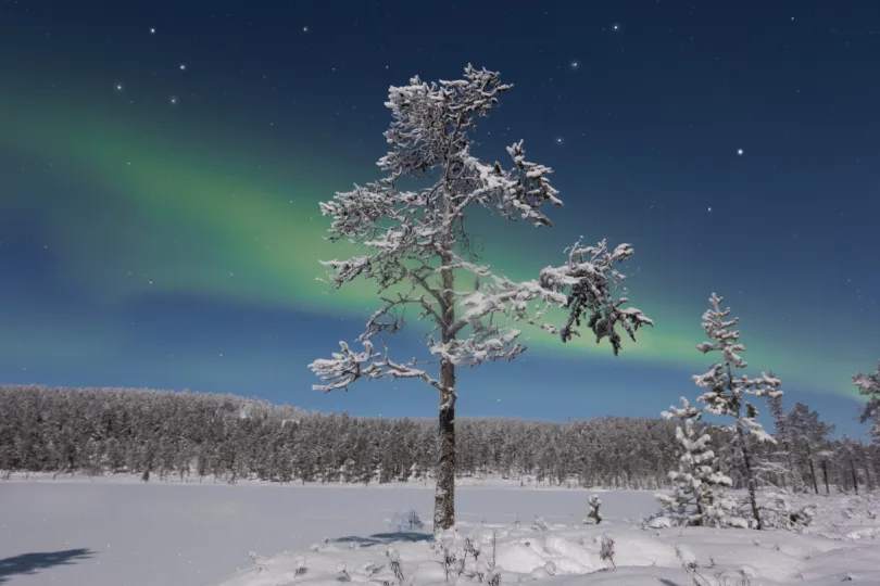 Finland sneeuw noorderlicht