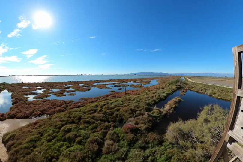 Ebro Delta Spanje