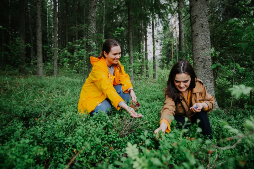 Finland kinderen in bos