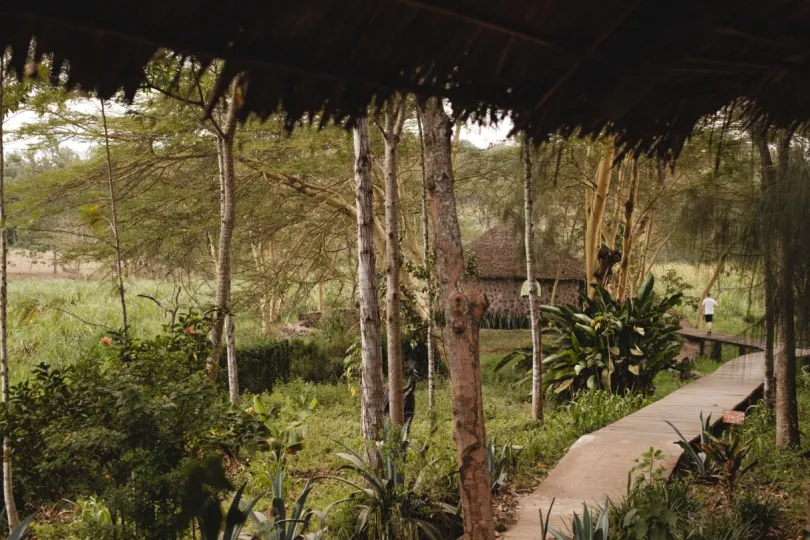 Kiboko Lodge Tanzania stenen huisje in groene omgeving