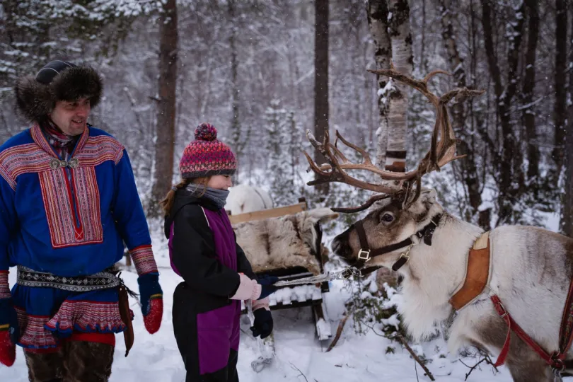 Noorwegen Sami rendier