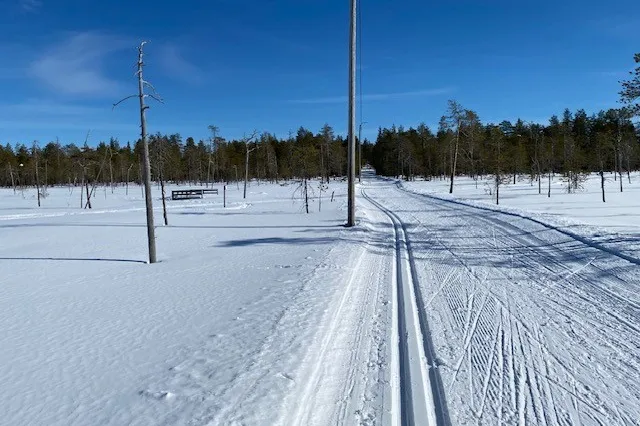 Besneeuwd pad met blauwe lucht in Lapland