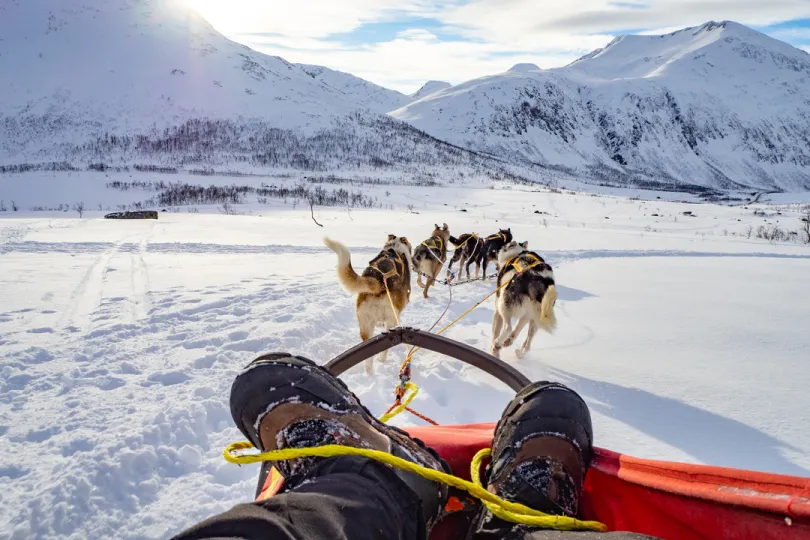 Husky sledetocht in Tromso Noorwegen