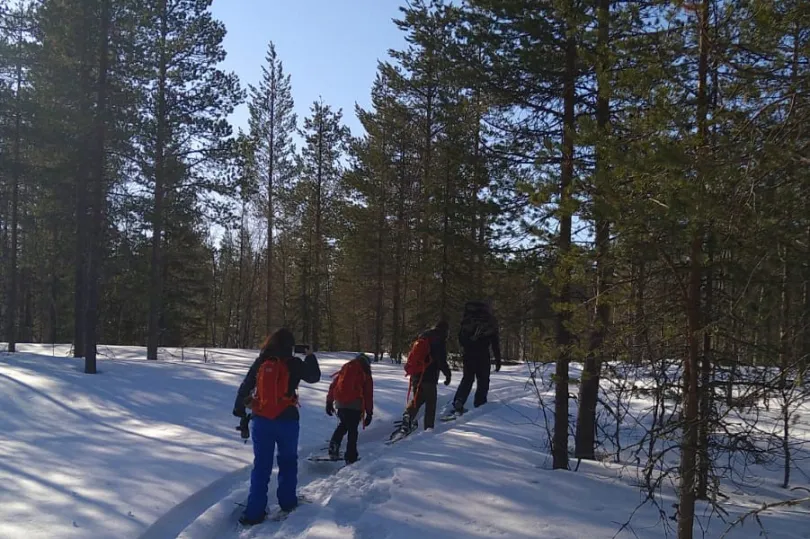 Sneeuwschoen wandeling door Fins Lapland
