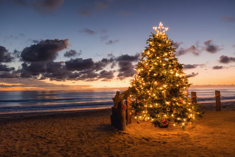Kerstboom op het strand