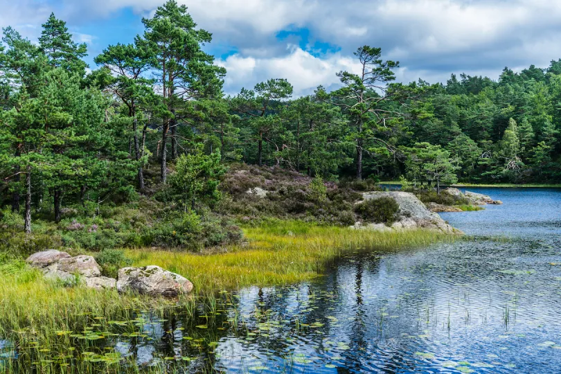 Kristiansand Baneheia natuurwandeling excursie Noorwegen