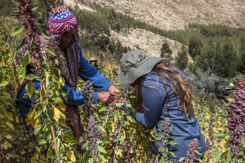 Leren over "landbouw" in de Andes - Peru