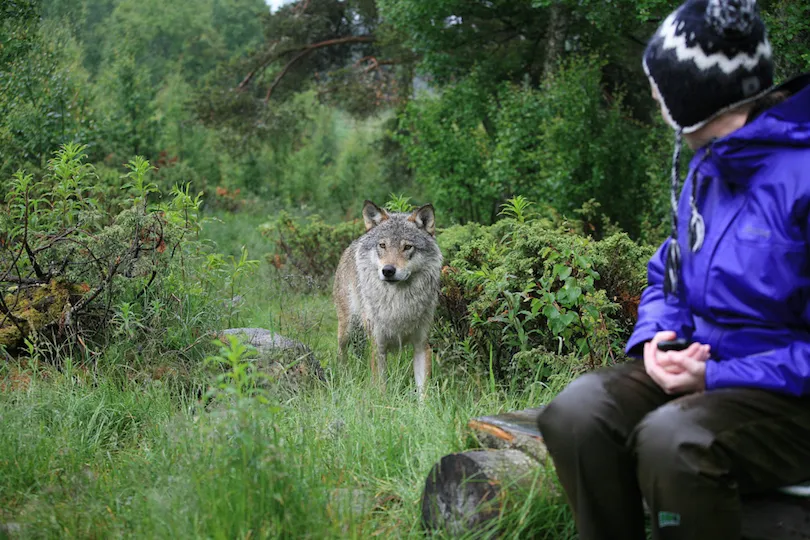 Noorwegen Naturpark Langedrag